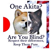 One-Akita?