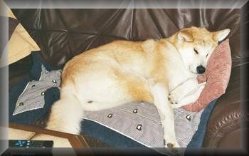decke