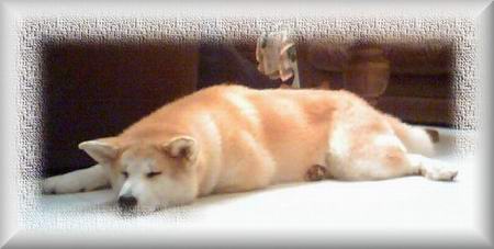 Nickerchen1